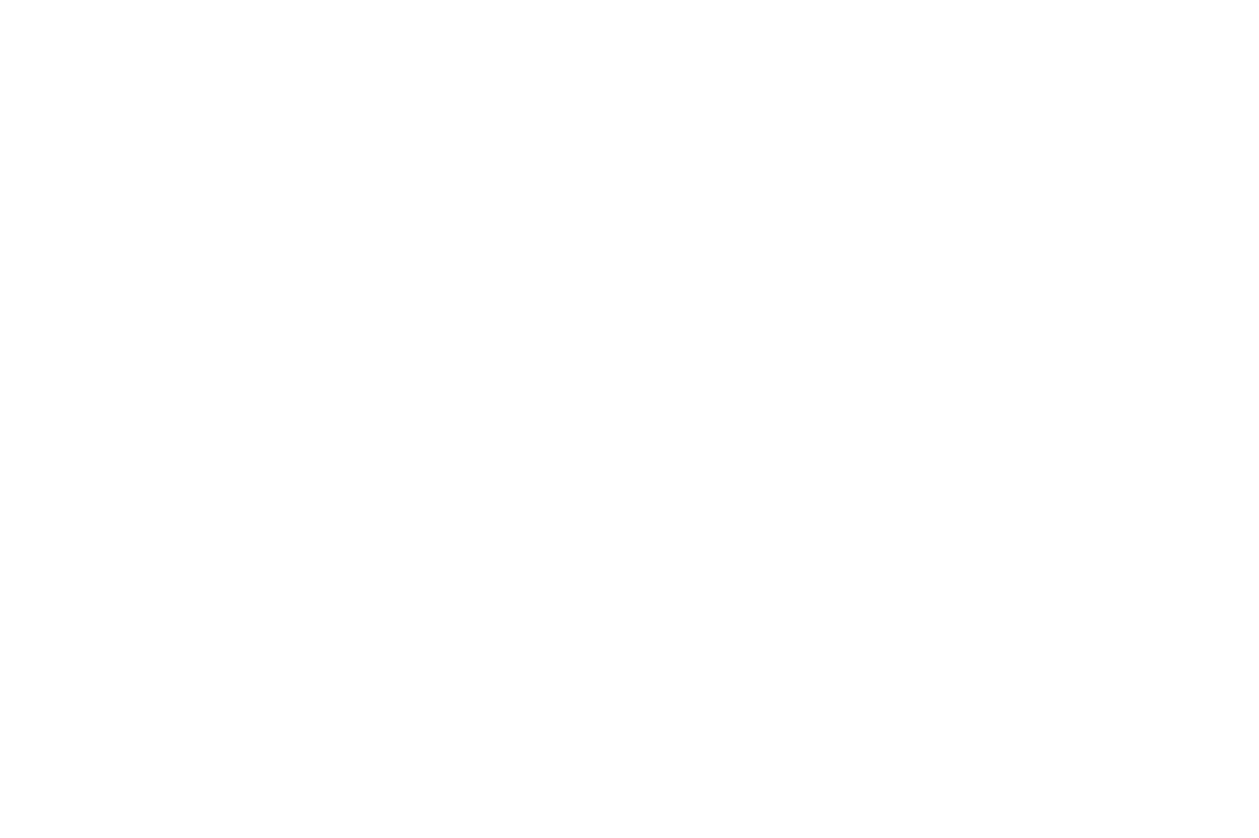 logo stairwayventures white